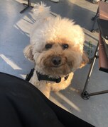 シャオジュン撮影の1枚。（WayV X @WayV_officialより）