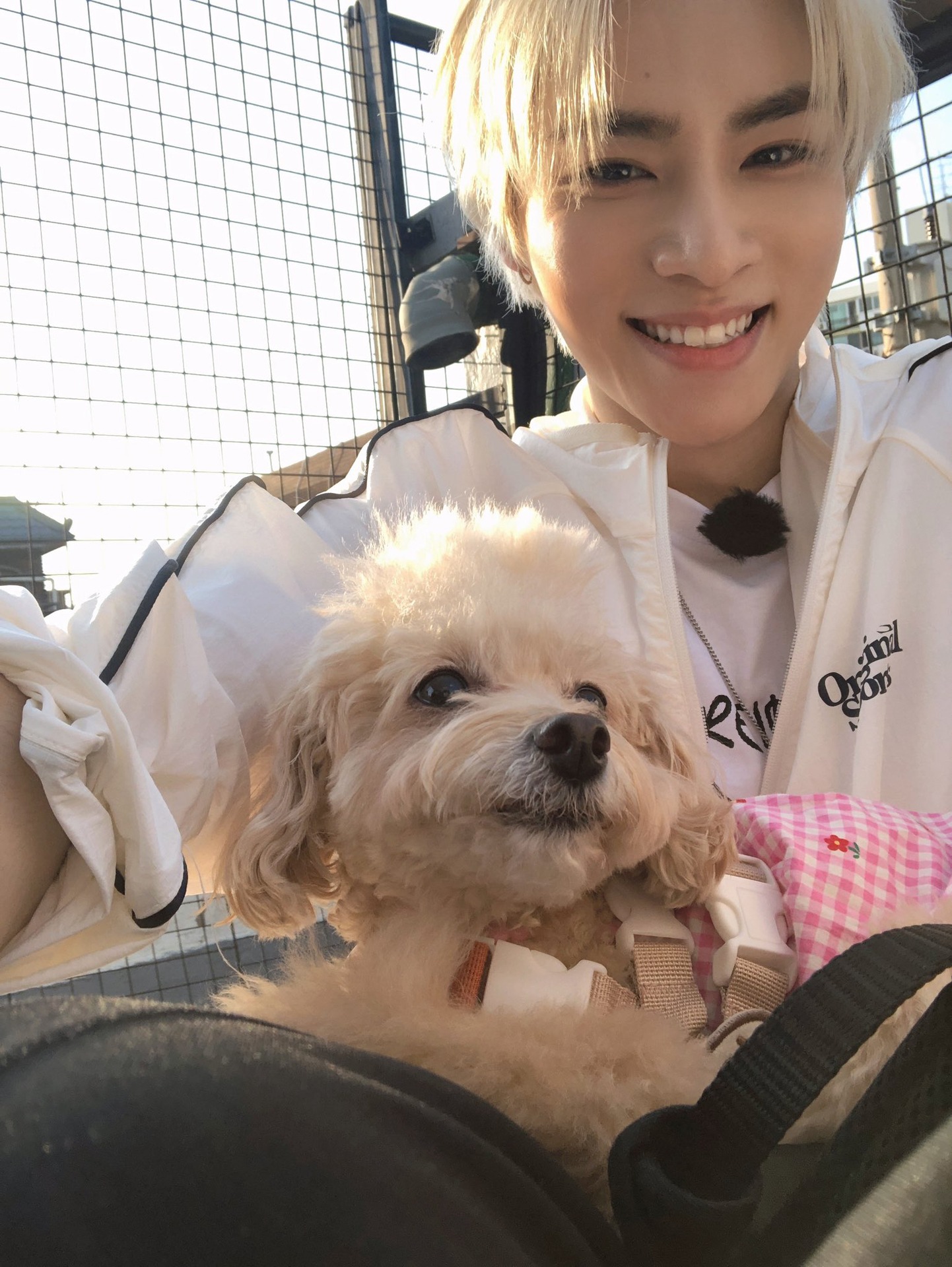 シャオジュンと犬。（WayV X @WayV_officialより）