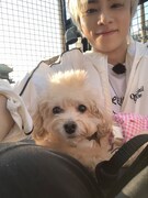 シャオジュンと犬。（WayV X @WayV_officialより）