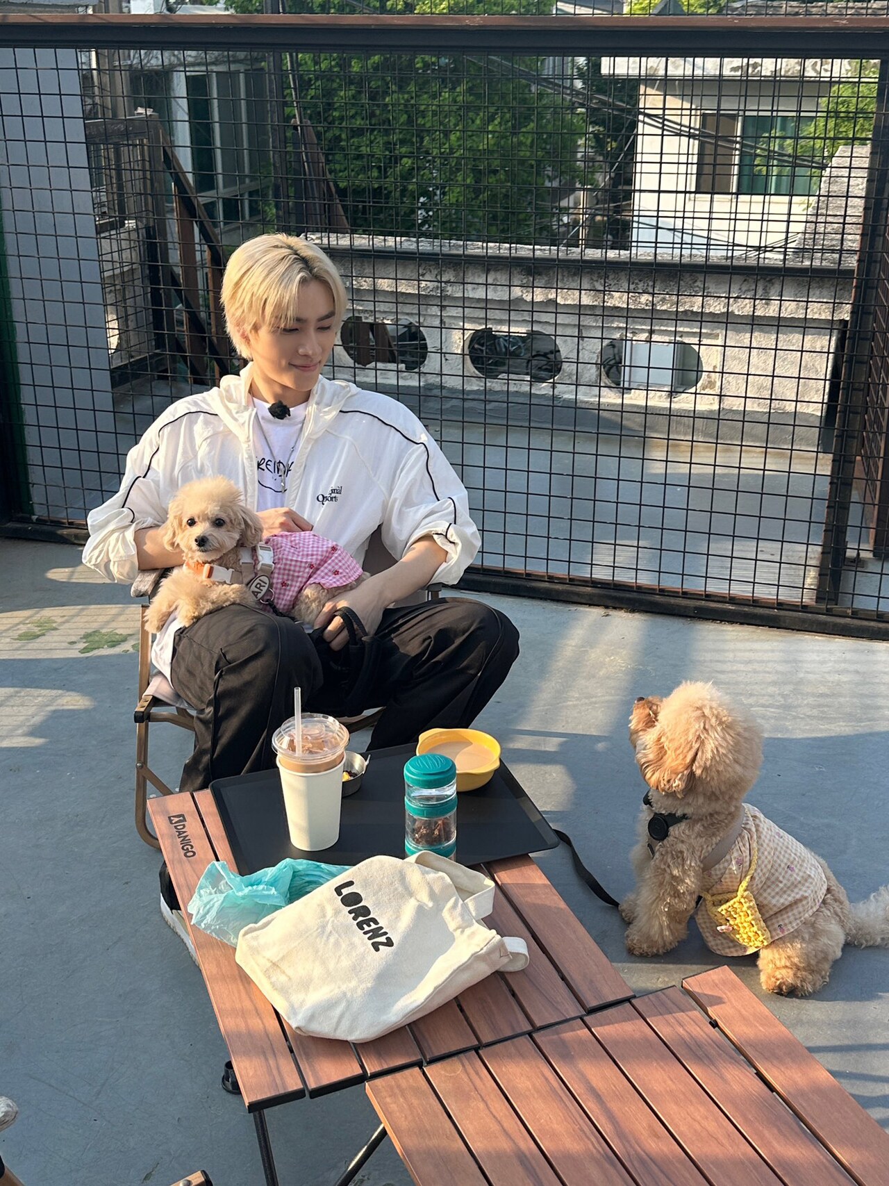 wayv シャオジュン ぬいぐるみ シャオジュン ぬいぐるみ 10cm