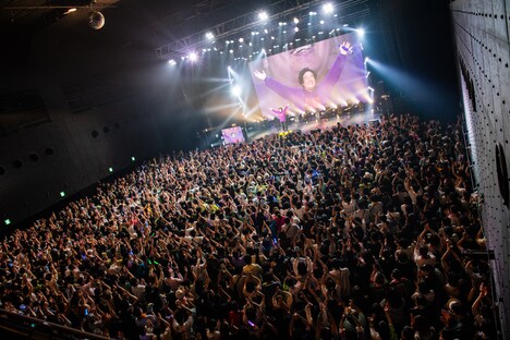 「岡崎体育 Zepp Tour 2024~低姿勢ドラキュラ~」Zepp Divercity公演の様子。(撮影:深野輝美)