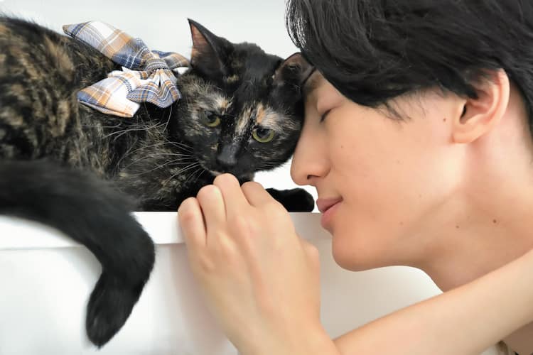 おまとめ中 ジャンピング猫 難しく