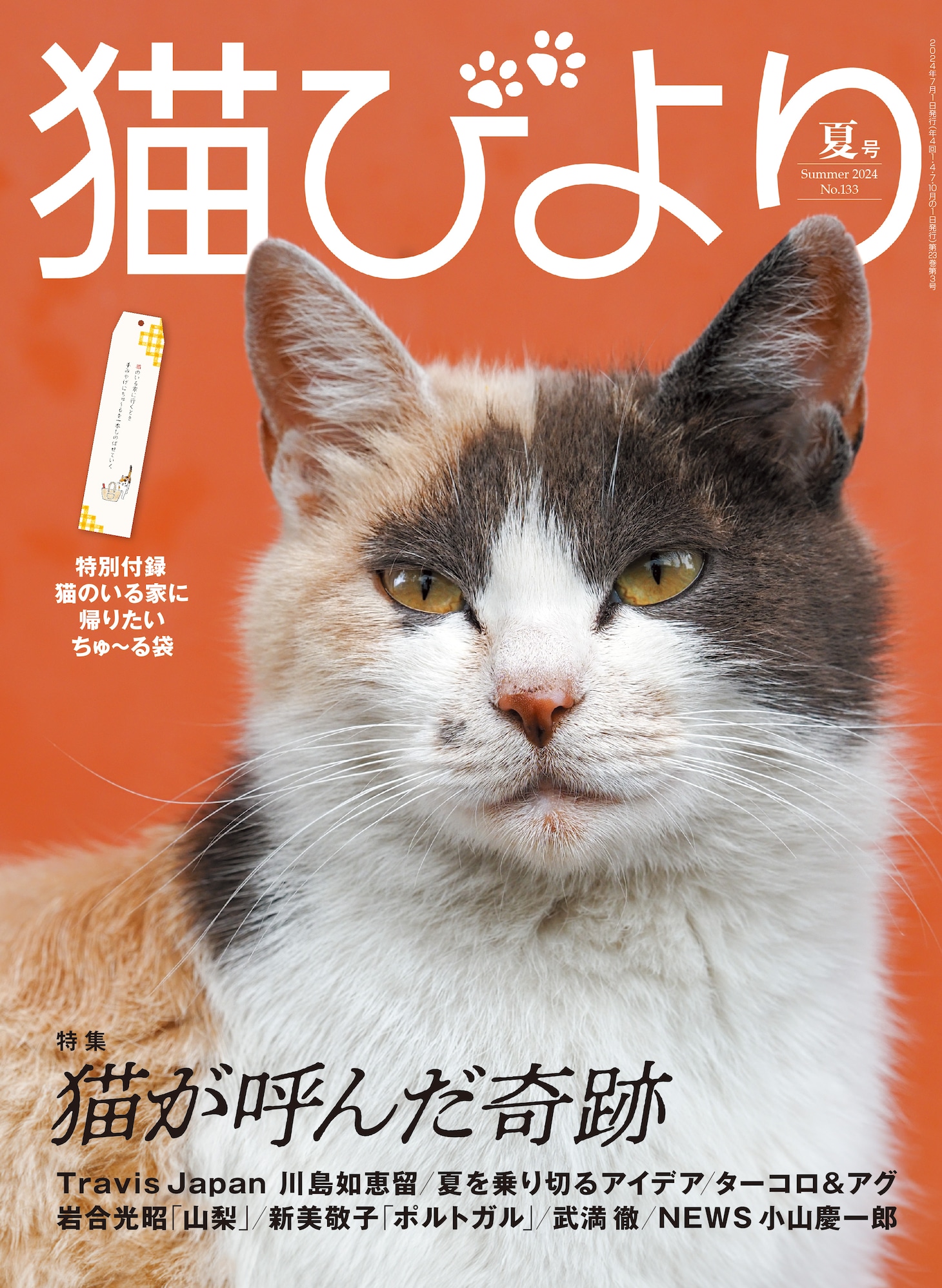 「猫びより」夏号表紙