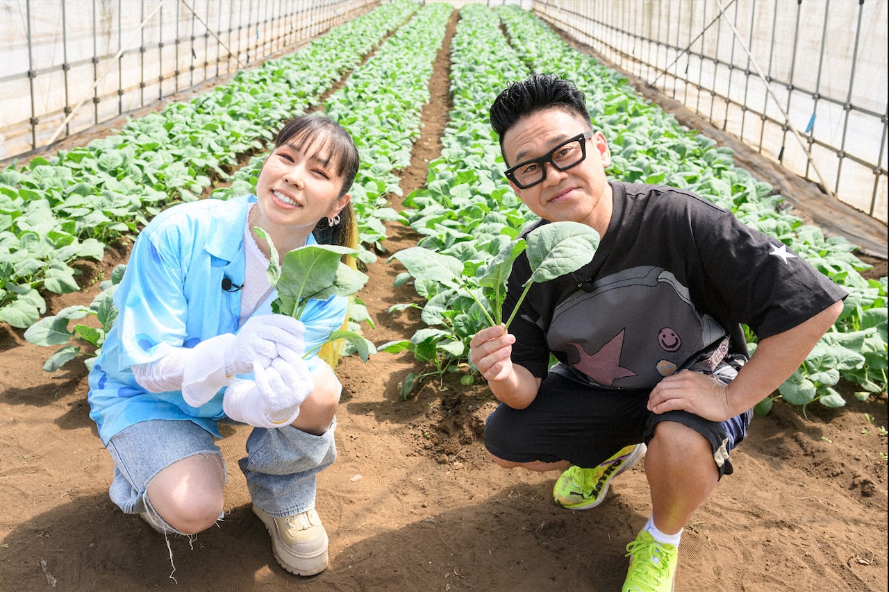 AIがソフトケールを求めて千葉へ、ほどよい苦味とピリッとくる辛味