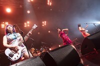 おとぼけビ～バ～（Photo by MAYUMI）