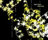 ちあきなおみ「星影の小径」ジャケット