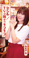 海老沢茜「セシル / TVの国からキラキラ」ジャケット