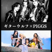 ギターウルフとPIGGS、下北沢Flowers Loftで激突