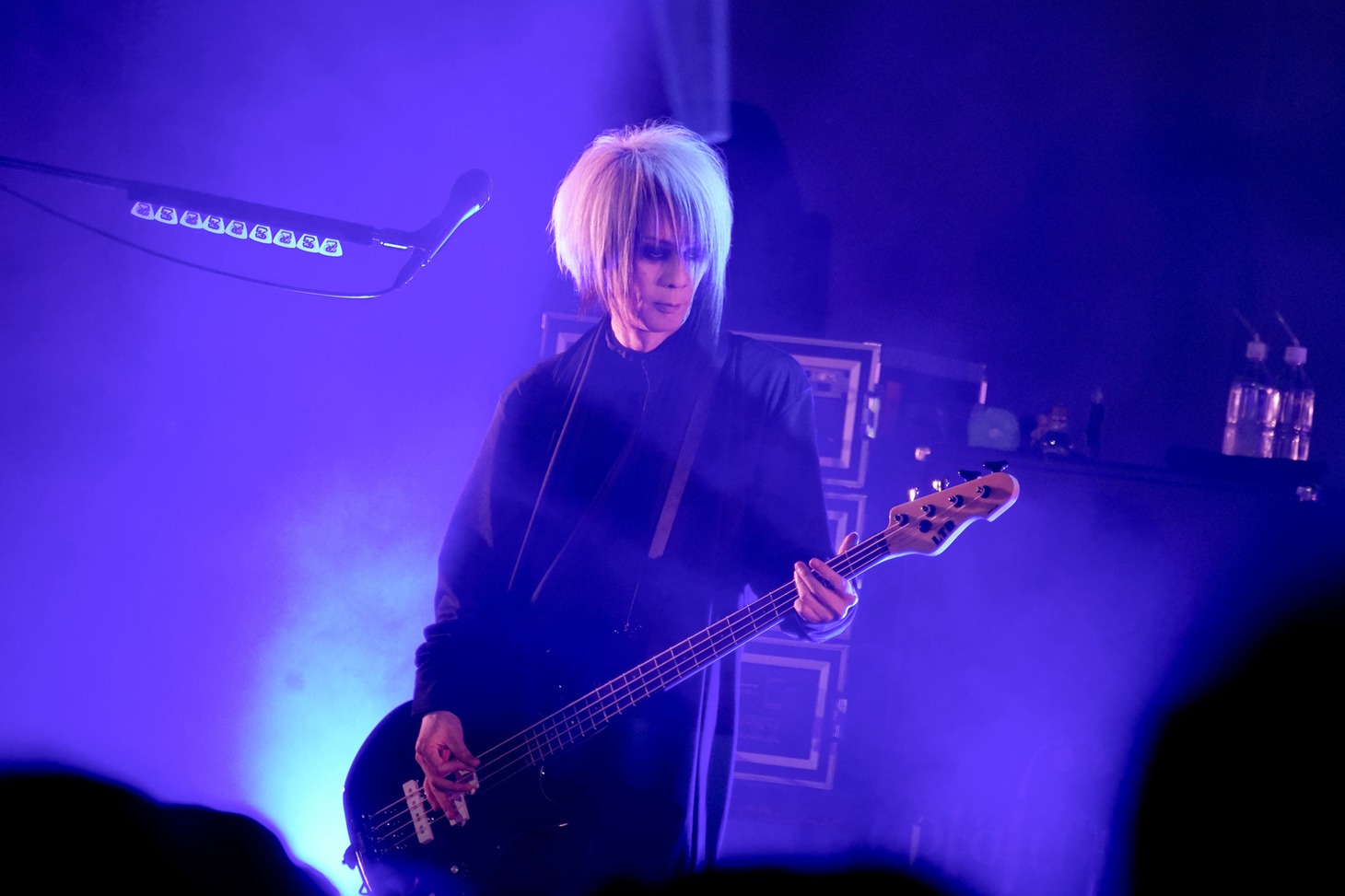 「Plastic Tree 結成 30 周年“樹念” Spring Tour2024『Plastic Tree』」より。