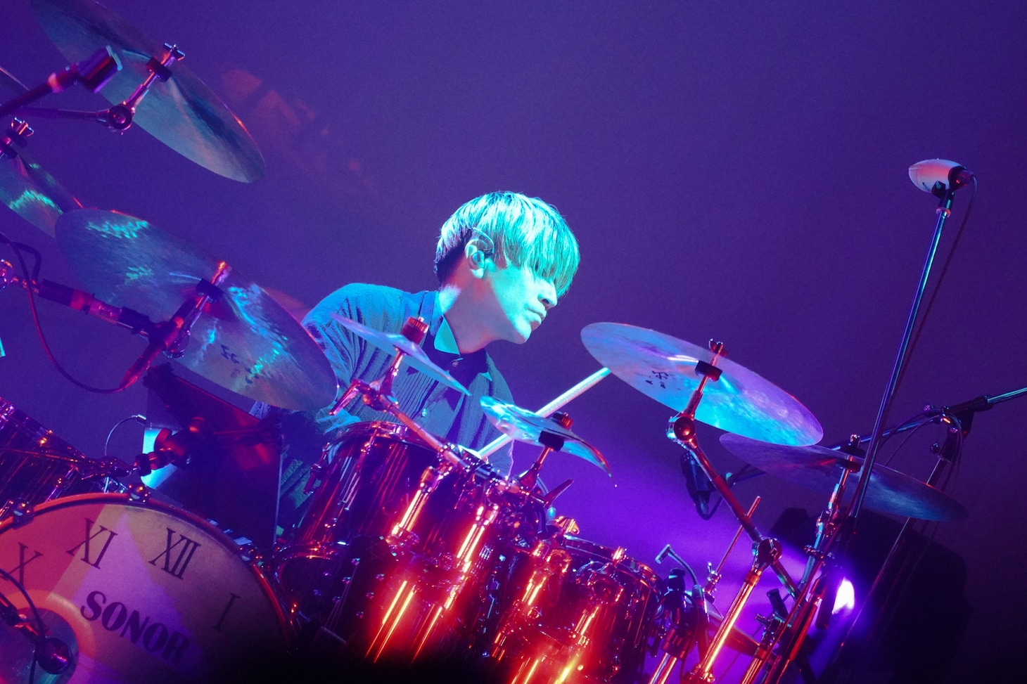 「Plastic Tree 結成 30 周年“樹念” Spring Tour2024『Plastic Tree』」より。