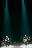 さくらしめじ（撮影：鈴木友莉）