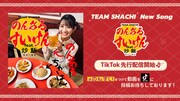 TikTokで先行配信されるTEAM SHACHI「のんあるすいけん feat.炒飯」の告知画像。