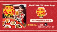TikTokで先行配信されるTEAM SHACHI「のんあるすいけん feat.炒飯」の告知画像。