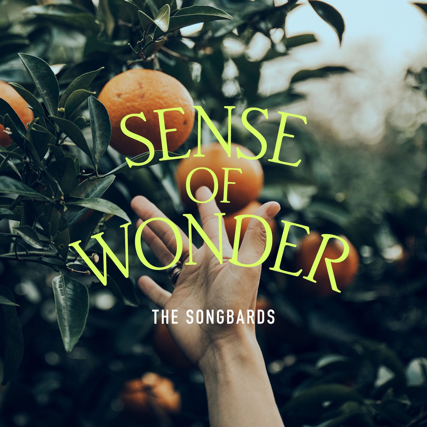 The Songbards「Sense of Wonder」配信ジャケット