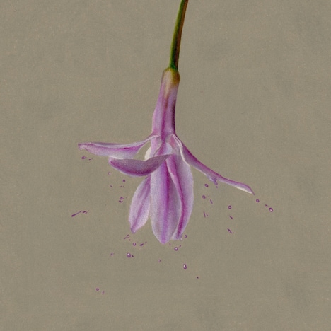 osage「残り香」配信ジャケット