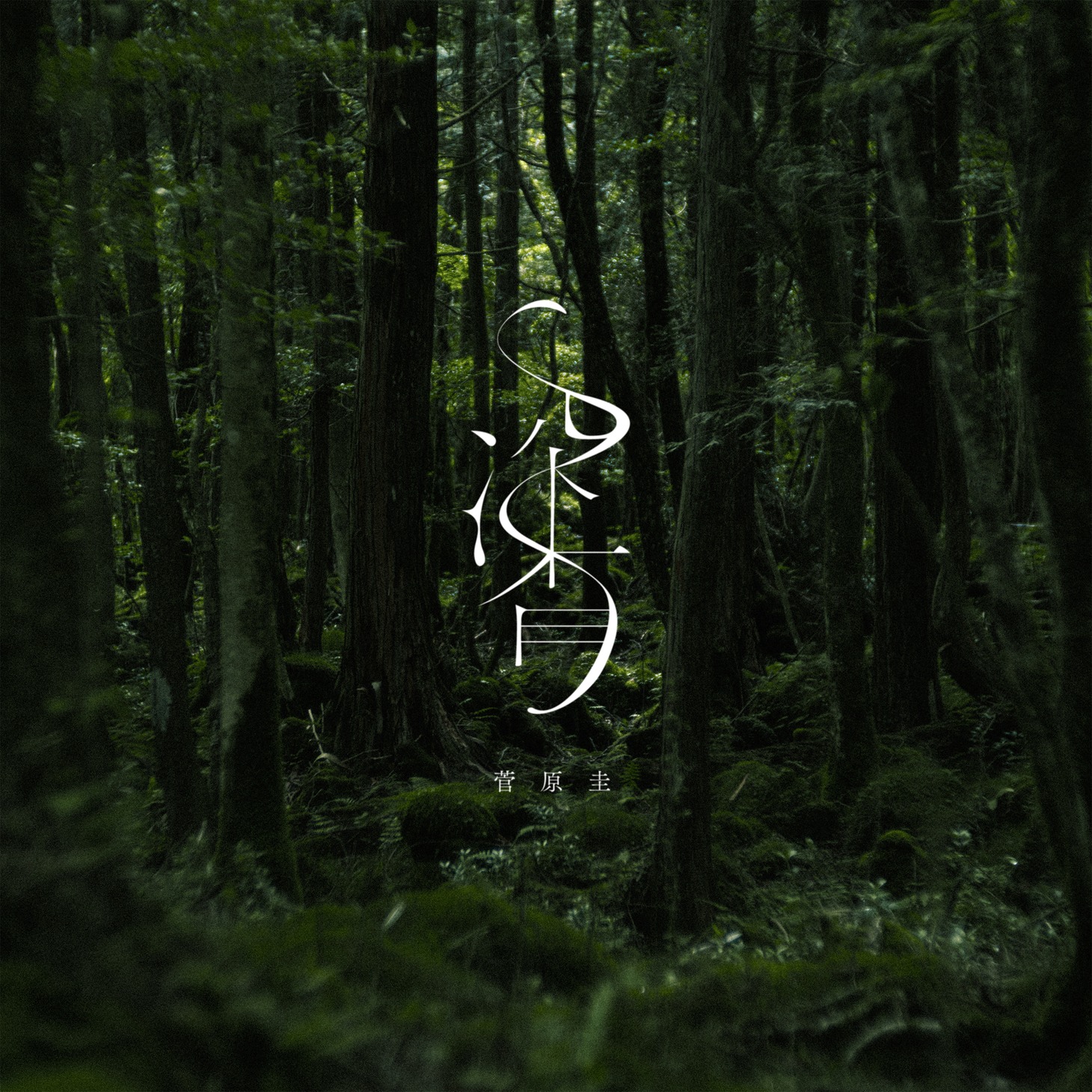 菅原圭「深香」配信ジャケット