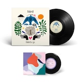 上からbird、冨田ラボのアナログ盤。