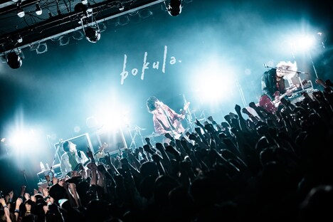 bokula.「涙 滲むのは心の本音です.」Release Tour「僕らで時代を作ります。ワンマンツアー ～“じゃけぇ”ってすぐ言う編～」東京・LIQUIDROOM公演の様子。（撮影：タカギユウスケ［LiveYou］）