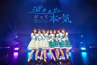 可憐なアイボリー（撮影：志波慎寿介）