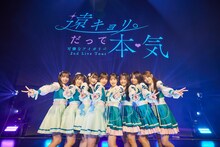 可憐なアイボリー（撮影：志波慎寿介）