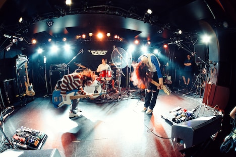 カネヨリマサル（撮影：金井勇真）