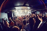 カネヨリマサルのライブの様子。(撮影:金井勇真)