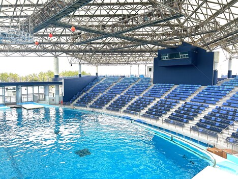 リニューアルしたライブスタジアム。