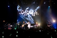 櫻井優衣のソロツアー「櫻井優衣 10th ANNIVERSARY LIVE TOUR 2024 ～CRUSH!!～」最終公演の様子。