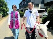 相武紗季と大悟(千鳥)とヤギのポポ。(c)テレビ東京