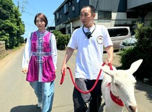 相武紗季と大悟（千鳥）とヤギのポポ。(c)テレビ東京