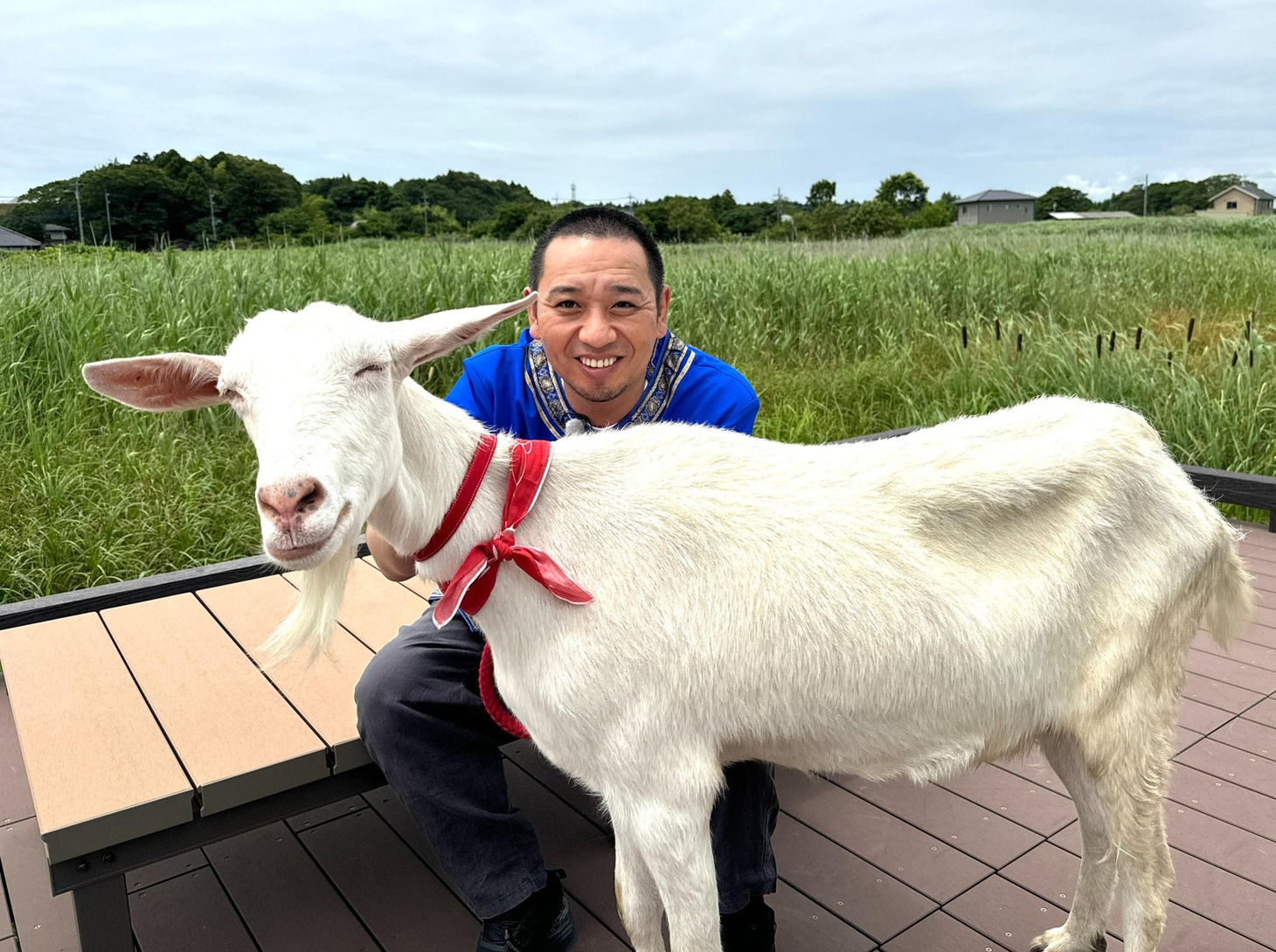 大悟（千鳥）とヤギのポポ。(c)テレビ東京