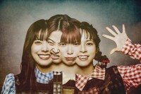 豆柴の大群都内某所 a.k.a. MONSTERIDOL