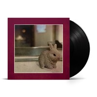 downt「Underlight & Aftertime」アナログ盤のパッケージ。