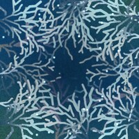 スーパー登山部「樹海 feat. TENDRE」配信ジャケット