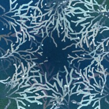 スーパー登山部「樹海 feat. TENDRE」配信ジャケット