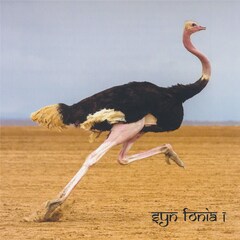 「ゆれる」生み出したEVISBEATS＆前田和彦、コラボ作「Syn Fonia I」リリース