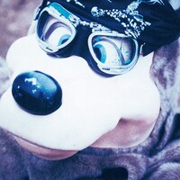 BLANKEY JET CITY「C.B.Jim」ジャケット