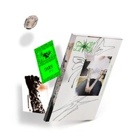 「DAWN N°3」イメージ