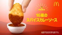 「16種のスパイスカレーソース」ビジュアル