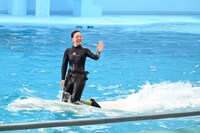 シロイルカとトレーナー。