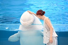 シロイルカとふれあうアイナ・ジ・エンド。