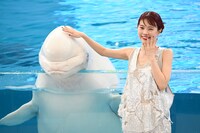 シロイルカとふれあうアイナ・ジ・エンド。