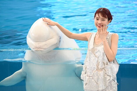 シロイルカとふれあうアイナ・ジ・エンド。