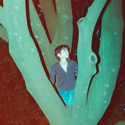 中野ミホが初のフルアルバム「Tree」発表、3都市巡るバンド編成リリースツアー開催