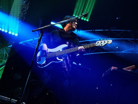 高野賢也（B, Cho）（撮影：酒井ダイスケ）