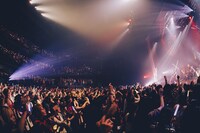 「syudou Live Tour 2024『溺愛』」TOKYO DOME CITY HALL公演より。（Photo by Shingo Tamai）