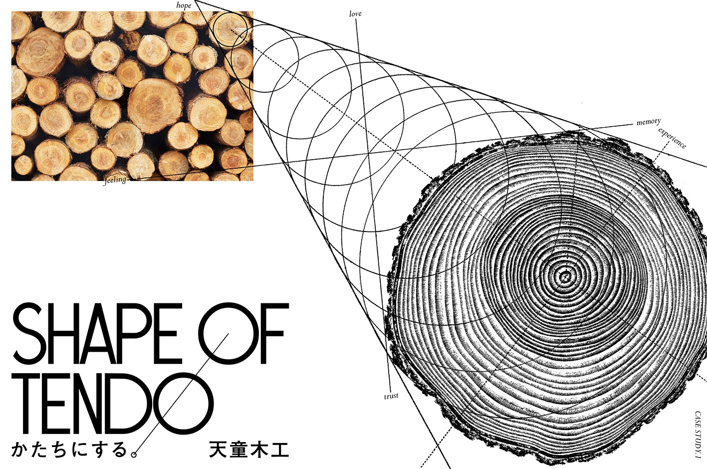 「SHAPE OF TENDO かたちにする。」ビジュアル