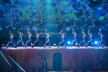 「高嶺のなでしこ全国ツアー2024“わたし色に染まれ”」ファイナル公演の様子。（撮影：林晋介）