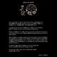 明智マヤ（Vo, G）のステートメント。