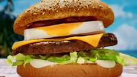 マクドナルドCM「めっちゃハワイやんバーガーズ篇」より。